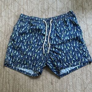 MC2 Saint Barth Printed Swim Shorts